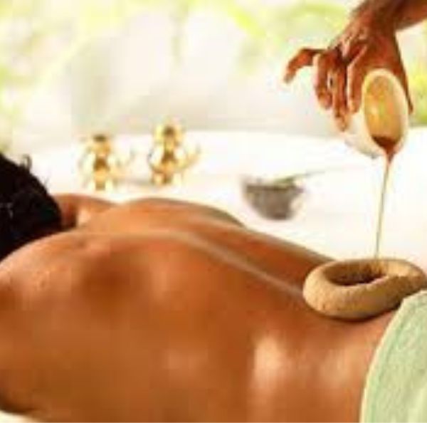  Asha Ayurveda – Therapy and Yoga center Template